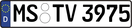 MS-TV3975