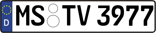 MS-TV3977