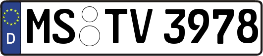 MS-TV3978