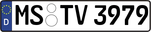 MS-TV3979