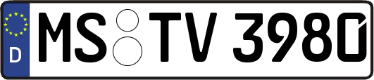 MS-TV3980