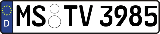 MS-TV3985