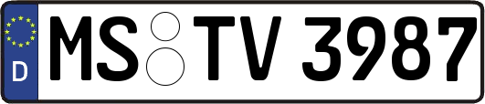 MS-TV3987
