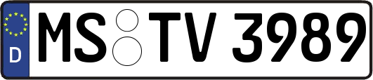 MS-TV3989