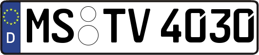 MS-TV4030