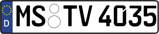 MS-TV4035