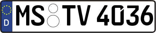MS-TV4036