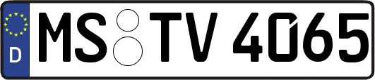 MS-TV4065