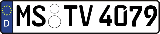 MS-TV4079