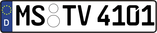 MS-TV4101