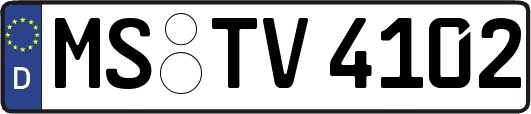 MS-TV4102