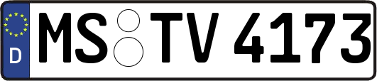 MS-TV4173
