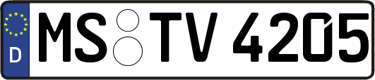 MS-TV4205