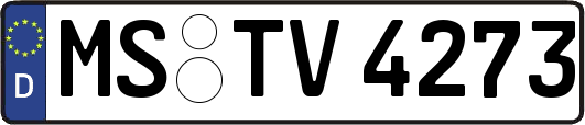 MS-TV4273