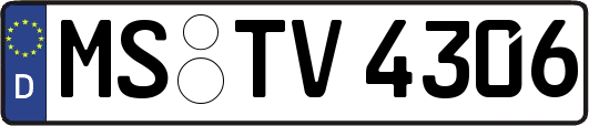 MS-TV4306