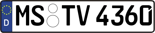MS-TV4360