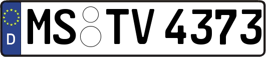 MS-TV4373