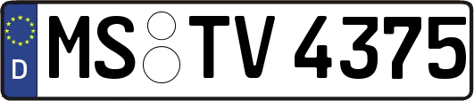 MS-TV4375