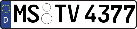 MS-TV4377