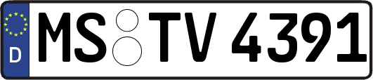 MS-TV4391