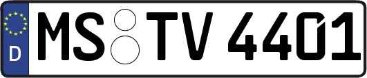 MS-TV4401