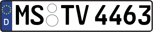 MS-TV4463