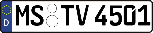 MS-TV4501