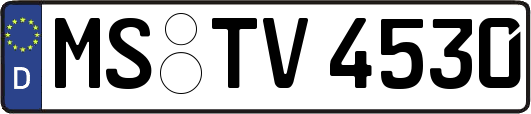 MS-TV4530