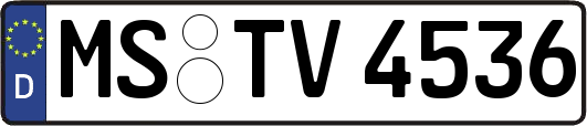 MS-TV4536