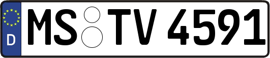 MS-TV4591