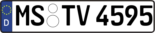 MS-TV4595