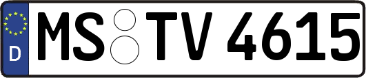 MS-TV4615