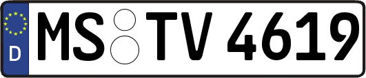 MS-TV4619
