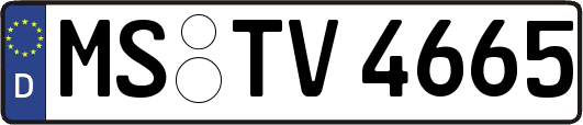 MS-TV4665
