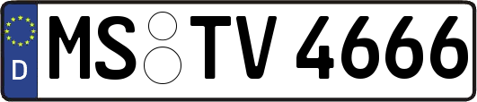 MS-TV4666