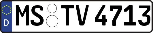 MS-TV4713
