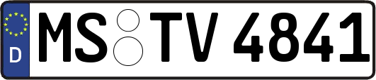 MS-TV4841