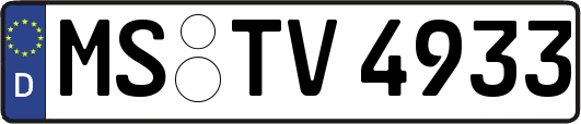 MS-TV4933