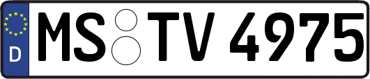 MS-TV4975