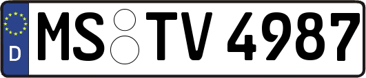 MS-TV4987
