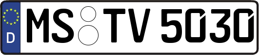 MS-TV5030