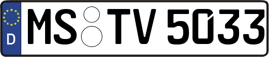 MS-TV5033