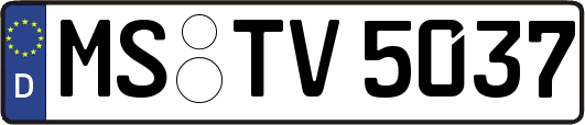 MS-TV5037