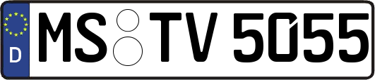 MS-TV5055