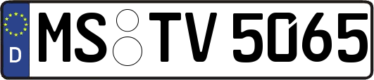 MS-TV5065