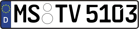 MS-TV5103