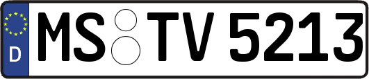 MS-TV5213