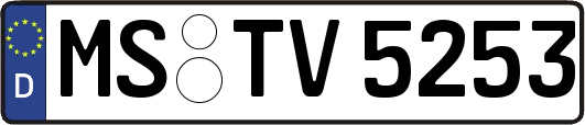 MS-TV5253