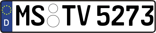 MS-TV5273