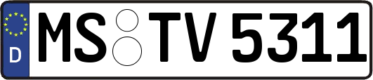 MS-TV5311